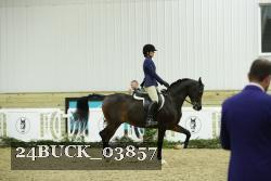 24BUCK_03857 thumbnail