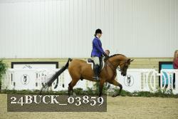 24BUCK_03859 thumbnail