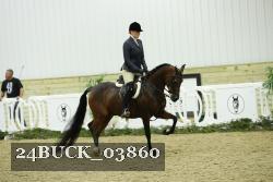 24BUCK_03860 thumbnail