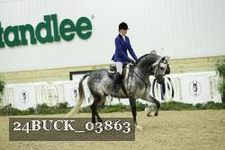 24BUCK_03863 thumbnail