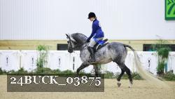 24BUCK_03875 thumbnail