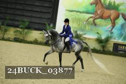 24BUCK_03877 thumbnail