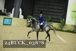 24BUCK_03878 thumbnail