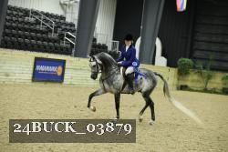 24BUCK_03879 thumbnail