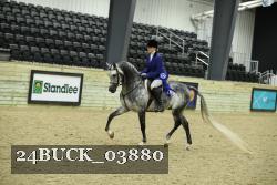 24BUCK_03880 thumbnail