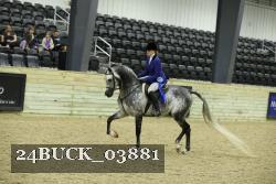24BUCK_03881 thumbnail