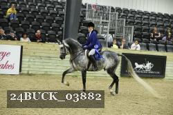 24BUCK_03882 thumbnail