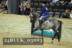 24BUCK_03883 thumbnail