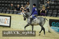 24BUCK_03884 thumbnail