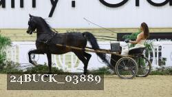 24BUCK_03889 thumbnail