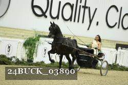 24BUCK_03890 thumbnail