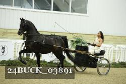 24BUCK_03891 thumbnail
