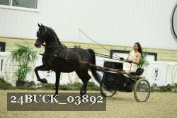 24BUCK_03892 thumbnail