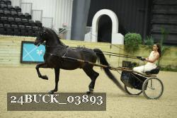 24BUCK_03893 thumbnail