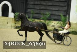 24BUCK_03896 thumbnail