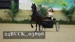 24BUCK_03898 thumbnail