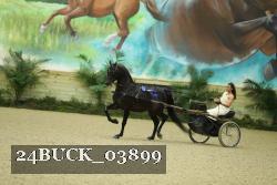 24BUCK_03899 thumbnail