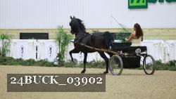 24BUCK_03902 thumbnail