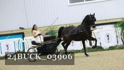 24BUCK_03906 thumbnail