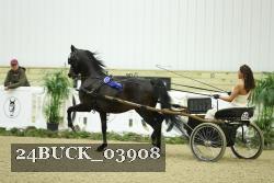 24BUCK_03908 thumbnail