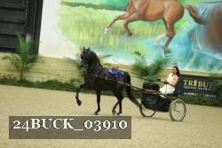 24BUCK_03910 thumbnail
