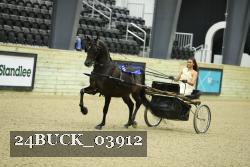 24BUCK_03912 thumbnail