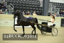24BUCK_03914 thumbnail