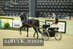 24BUCK_03920 thumbnail