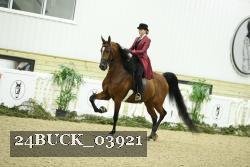 24BUCK_03921 thumbnail