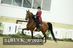 24BUCK_03922 thumbnail
