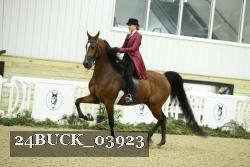 24BUCK_03923 thumbnail