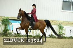 24BUCK_03924 thumbnail