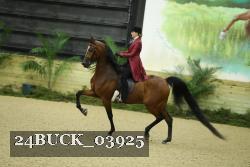 24BUCK_03925 thumbnail