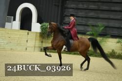 24BUCK_03926 thumbnail