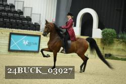 24BUCK_03927 thumbnail