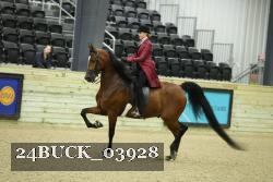 24BUCK_03928 thumbnail