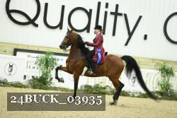 24BUCK_03935 thumbnail