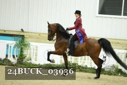 24BUCK_03936 thumbnail