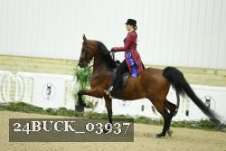 24BUCK_03937 thumbnail