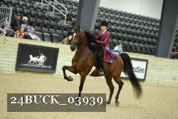 24BUCK_03939 thumbnail