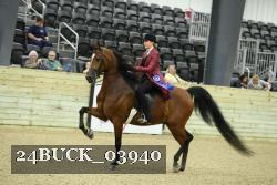 24BUCK_03940 thumbnail