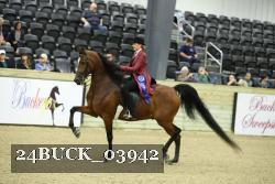 24BUCK_03942 thumbnail