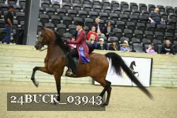 24BUCK_03943 thumbnail