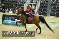 24BUCK_03945 thumbnail
