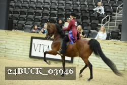 24BUCK_03946 thumbnail