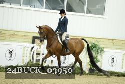 24BUCK_03950 thumbnail