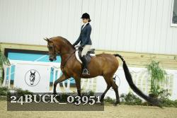 24BUCK_03951 thumbnail