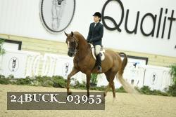 24BUCK_03955 thumbnail