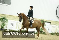 24BUCK_03956 thumbnail