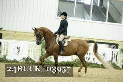 24BUCK_03957 thumbnail